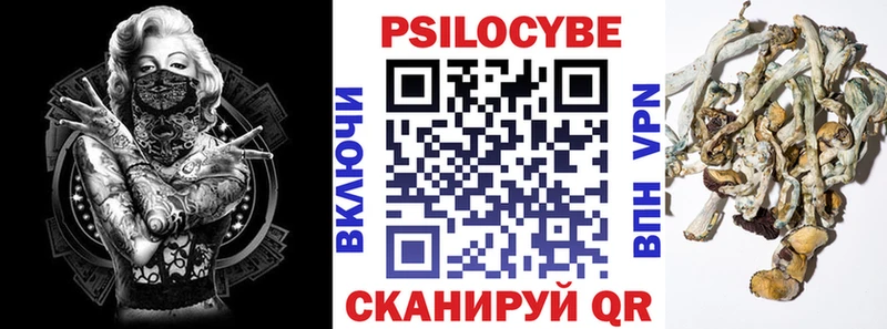 купить закладку  Курчатов  Галлюциногенные грибы Cubensis 
